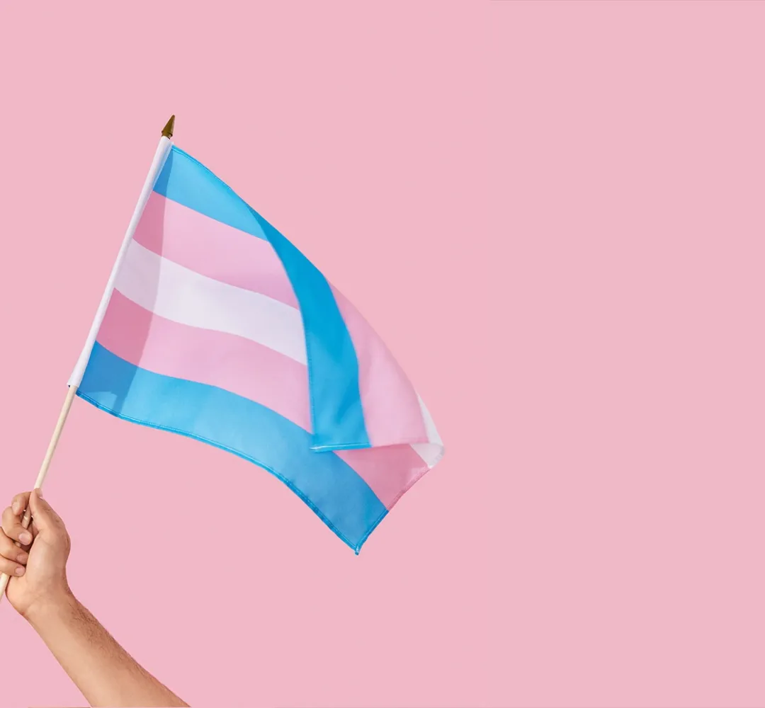 Visibilidade Trans