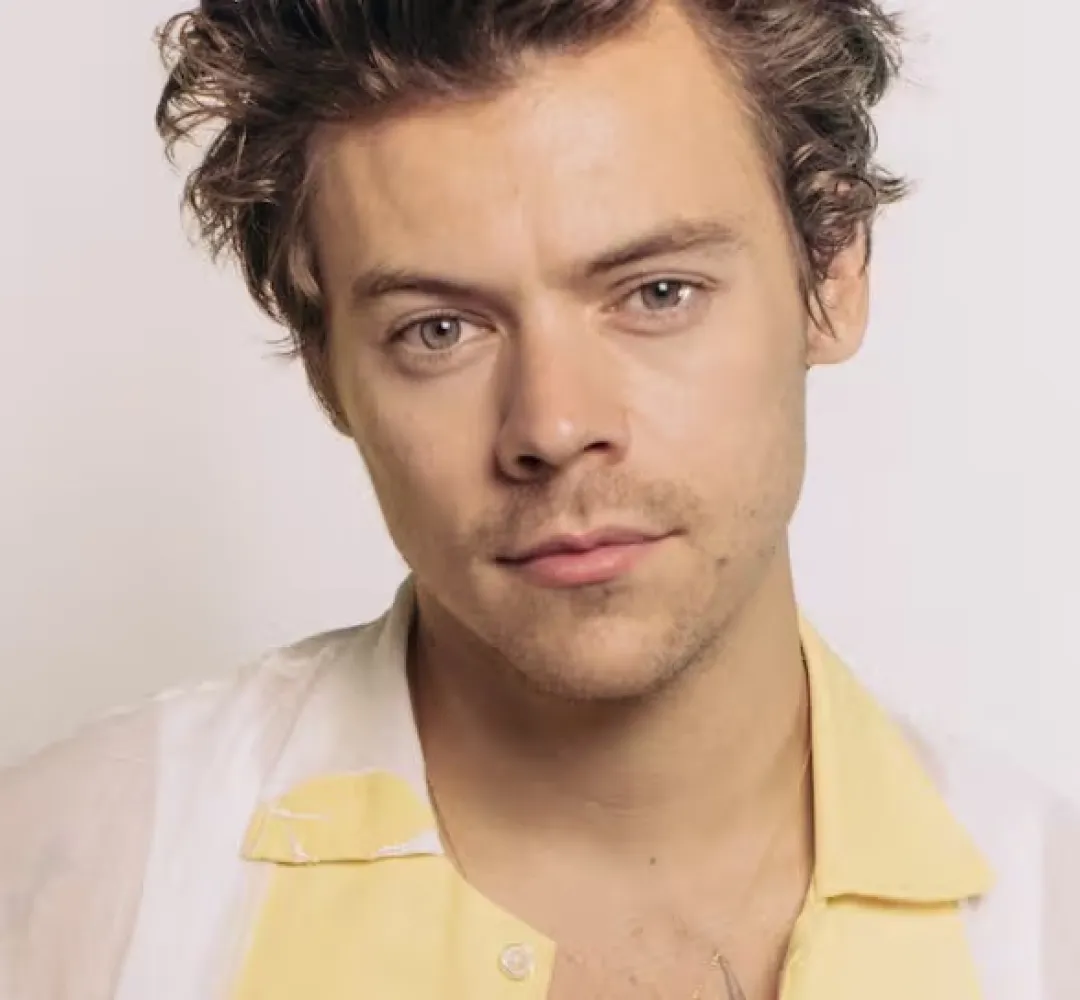 HARRY STYLES
