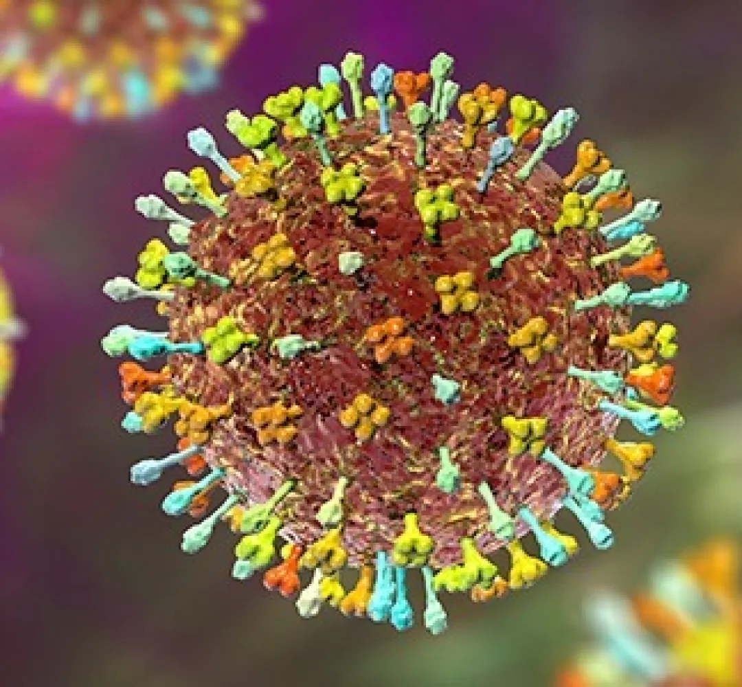 VIRUS NIPAH
