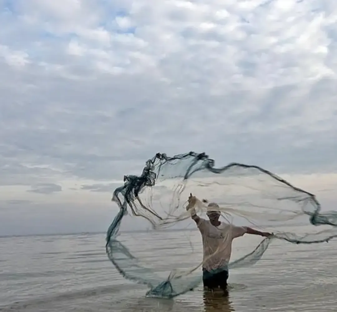 pesca