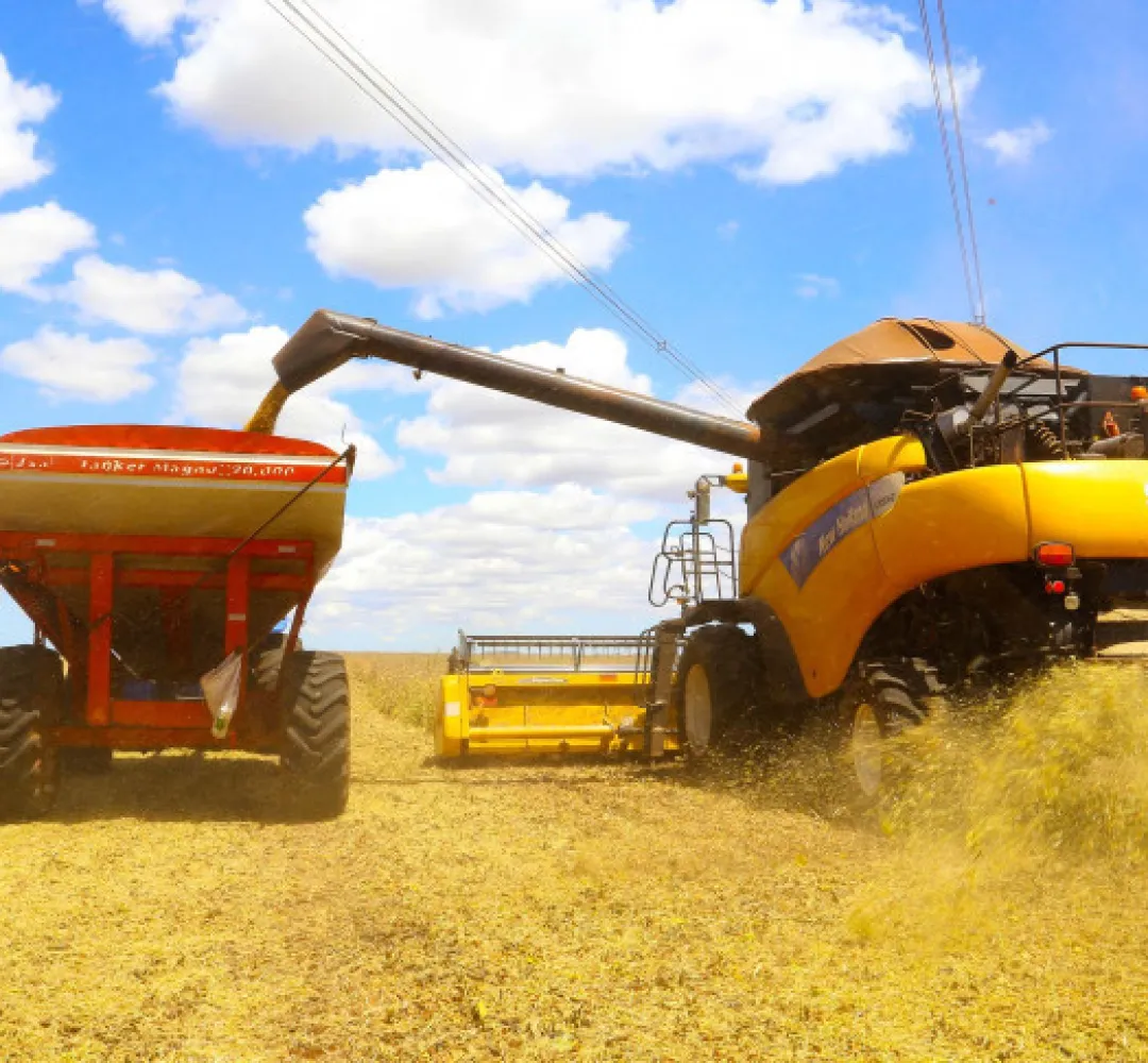 agro