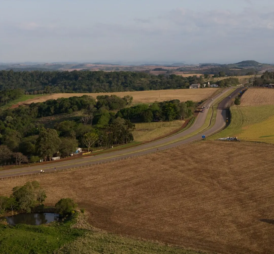 Rodovia