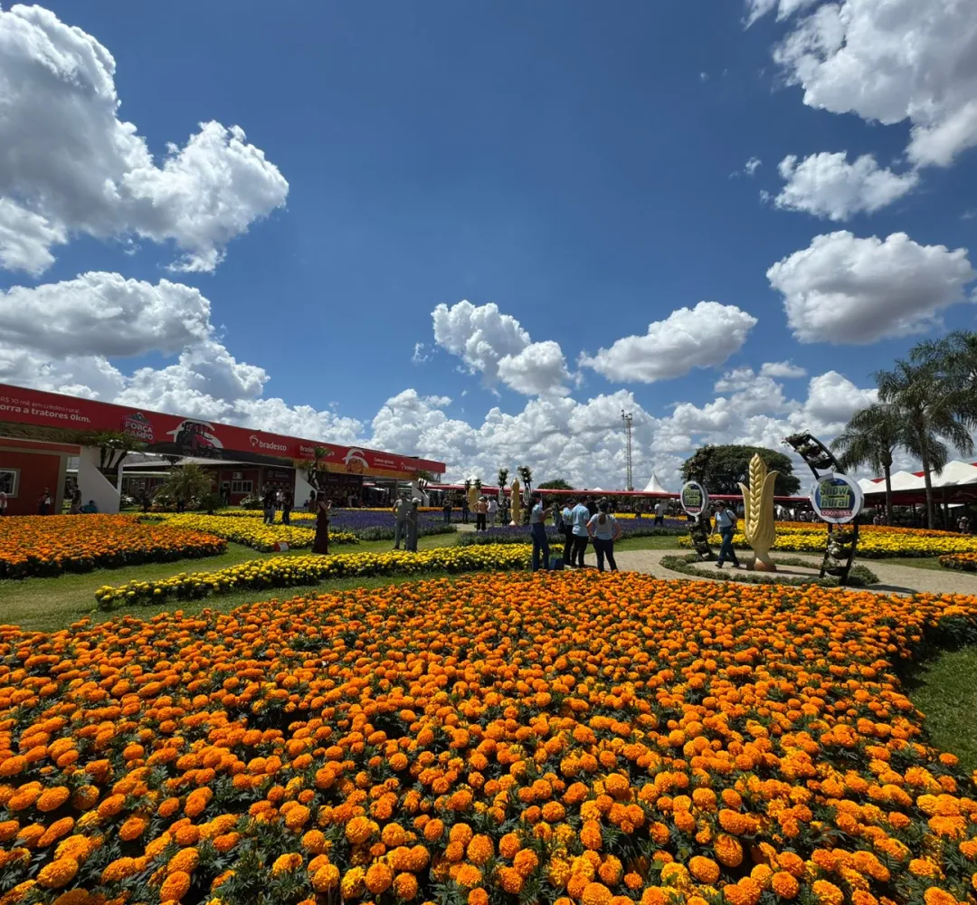 Show Rural bate recorde no 3º dia de feira