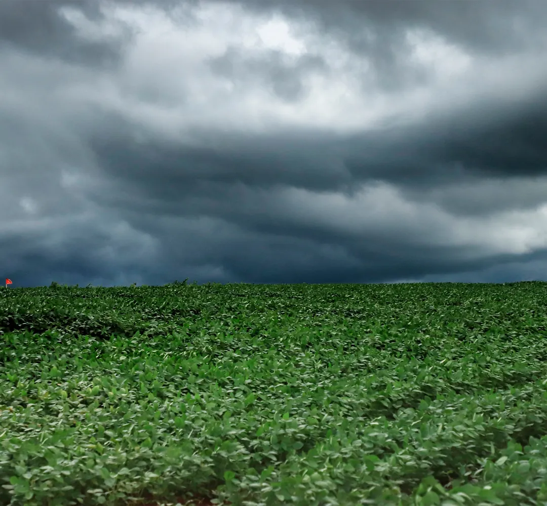 temporal