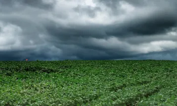 Tempestades atingem Paraná com 55 mm de chuva em uma hora