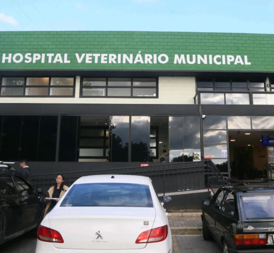 veterinario