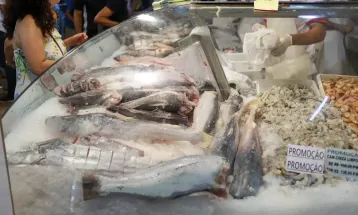 Predadores dos mares II