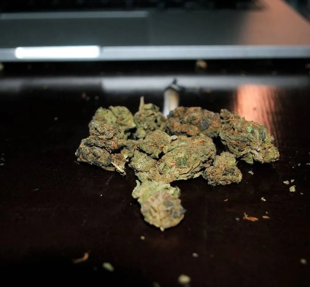 maconha