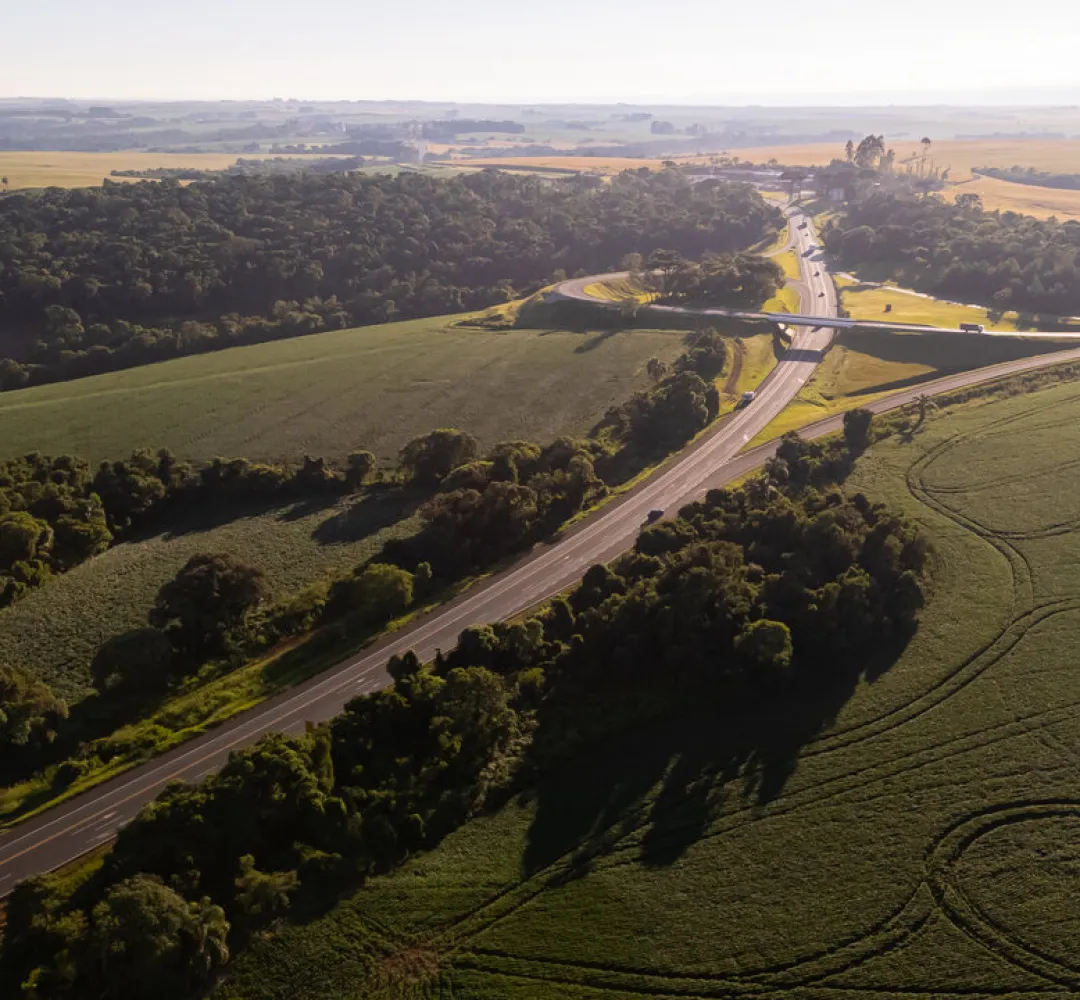 Rodovia