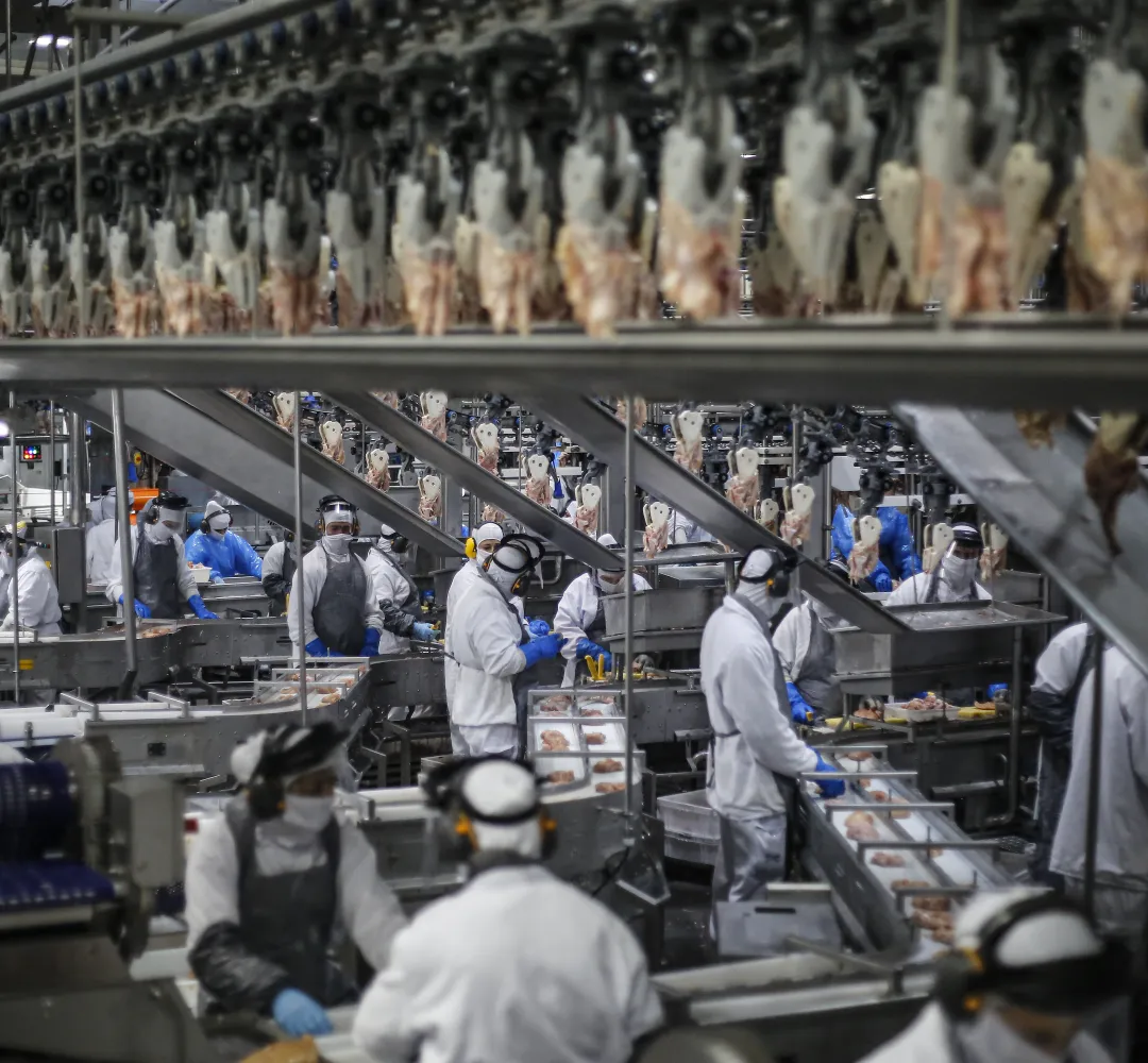 Exportações de frango
