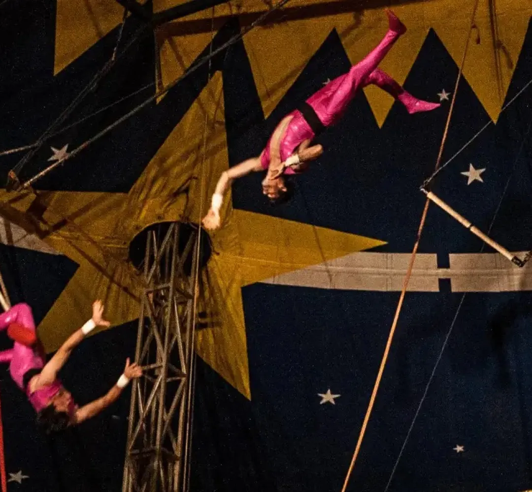 Circo ZAnchettin
