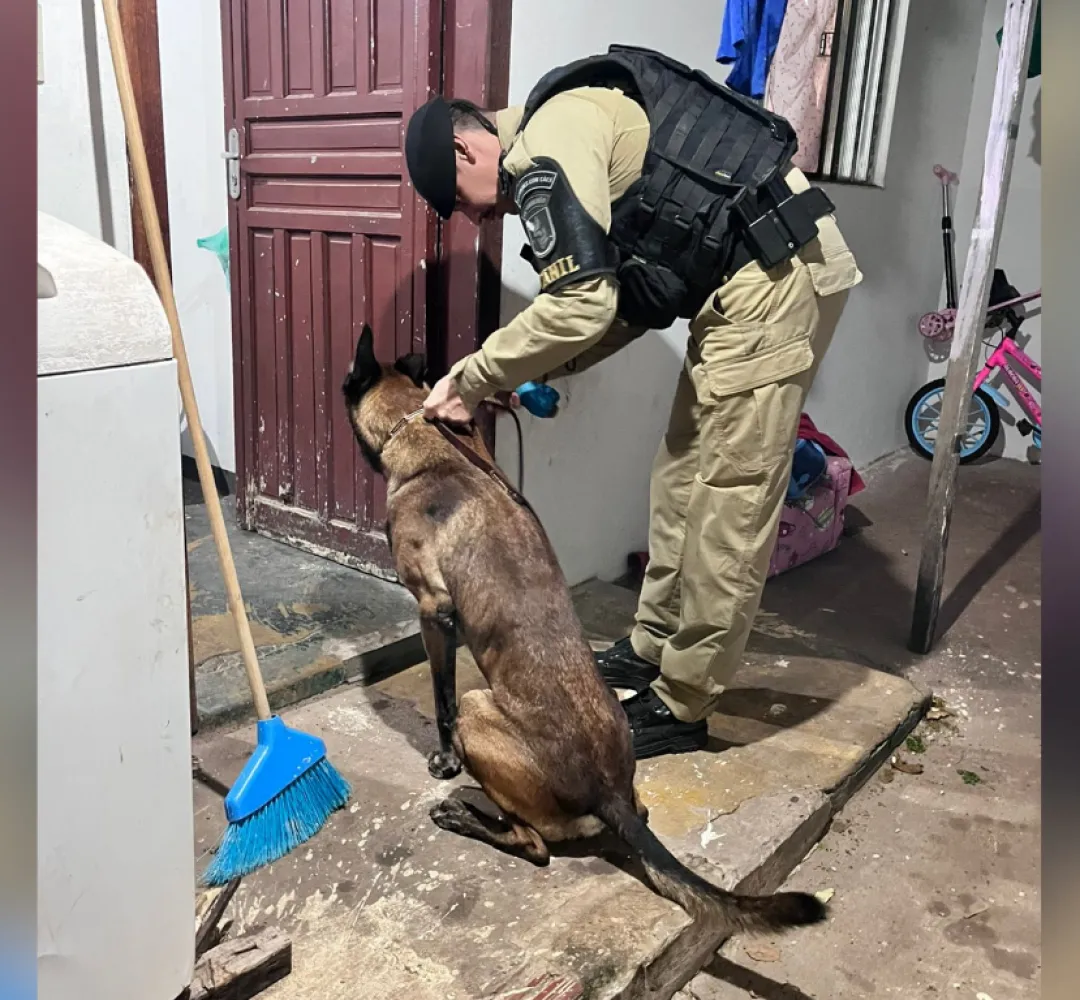 OPERAÇÃO VERA