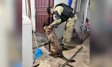 Gaeco deflagra Operação Vera Persona contra facção criminosa no Paraná; veja cidades