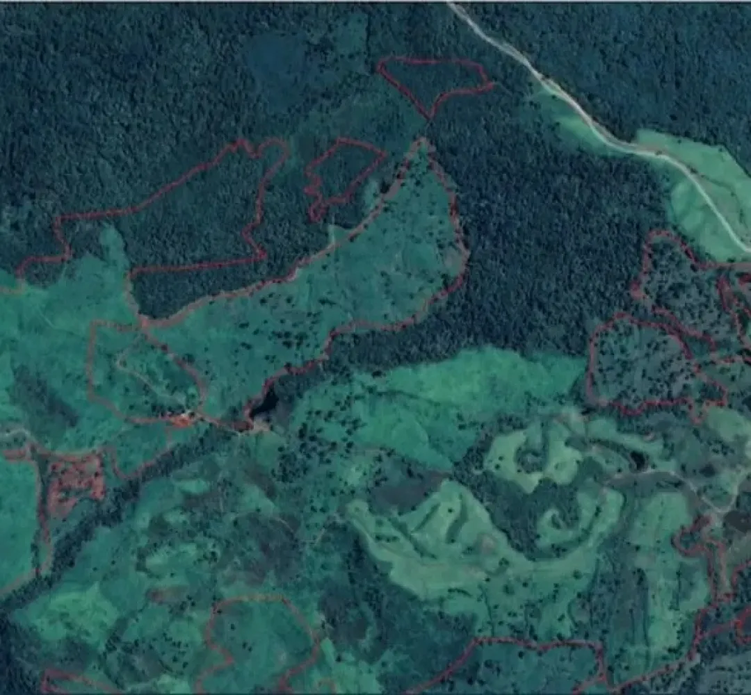 Satelite