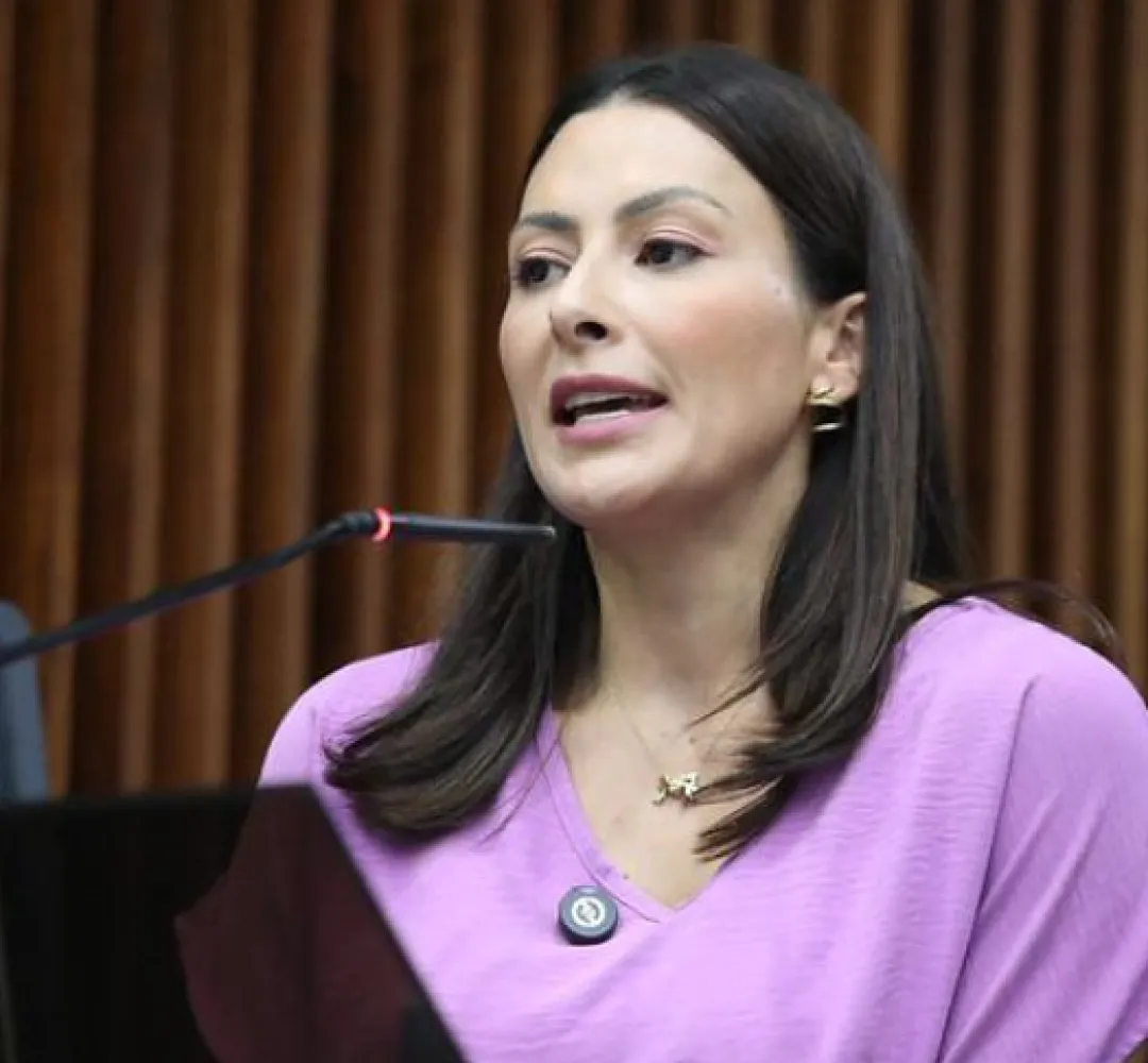 Deputada estadual Mabel Canto