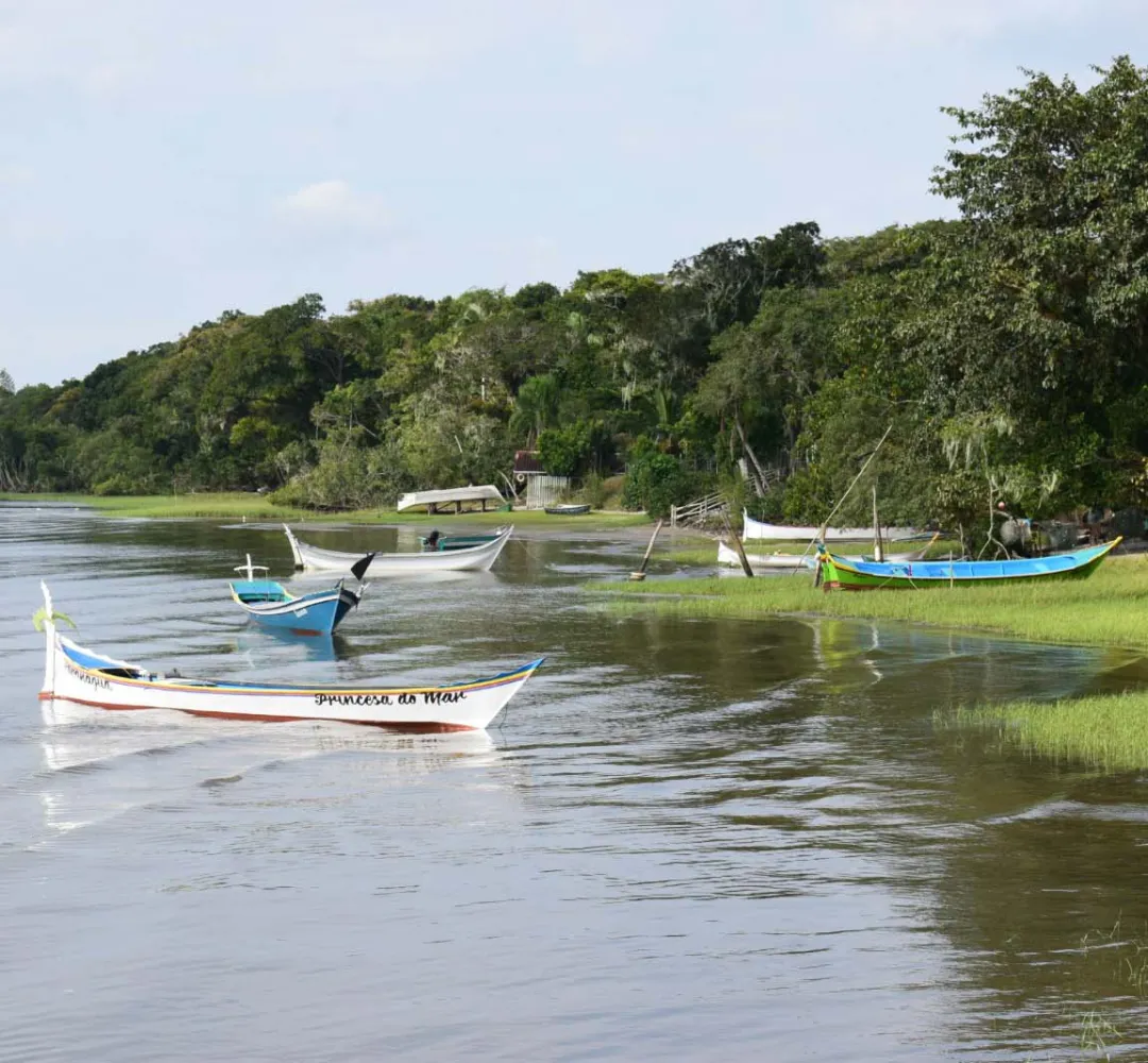 ILHA MACIEL