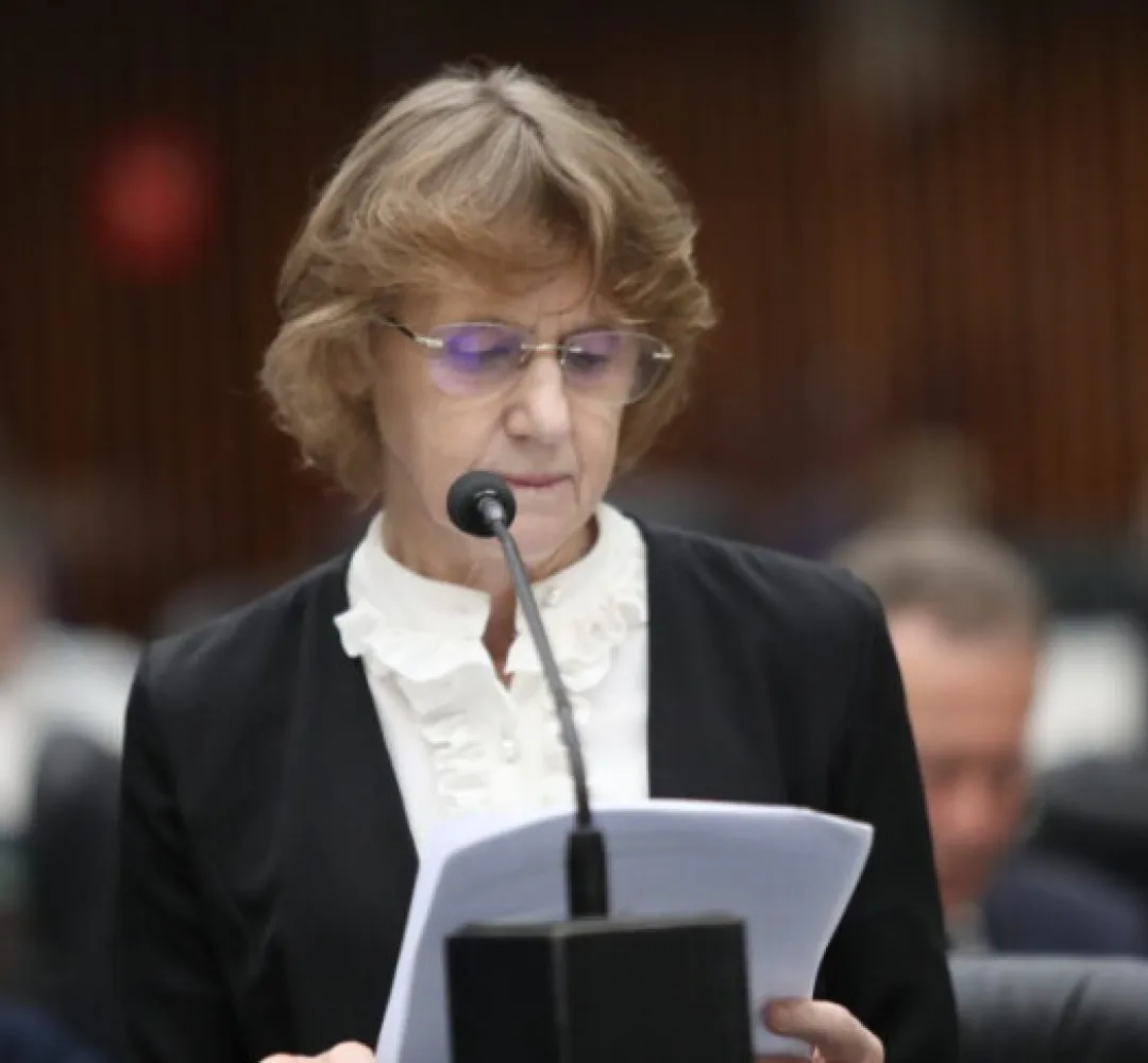 Deputada Luciana Rafagnin