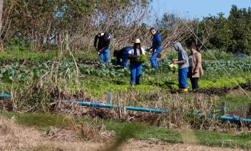 Vereadora denuncia possível substituição de servidores concursados por terceirizados em escolas agrícolas no Paraná