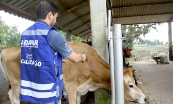 Greve da Adapar pode fazer com que japoneses deixem de comprar carne bovina do Paraná