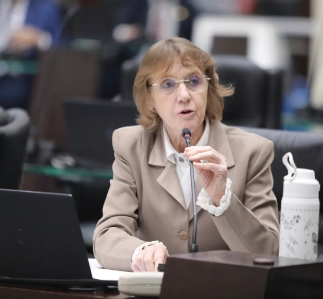 Deputada estadual Luciana Rafagnin