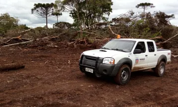 Paraná regulamenta Refis Ambiental; veja como parcelar dívidas com o IAT