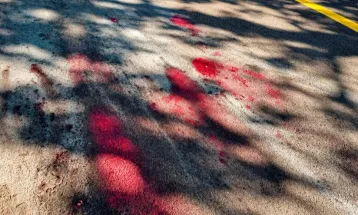 Homem mata pitbull a tiros após ataque em Cascavel