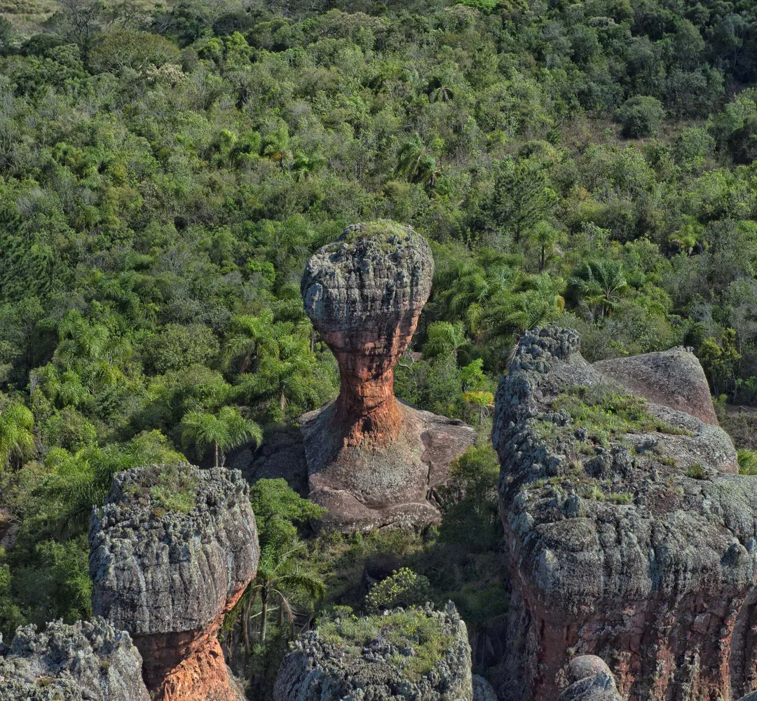 pico paraná