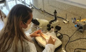 Paraná troca LIRAa por 'armadilhas tecnológicas' para monitorar a dengue; entenda como funciona