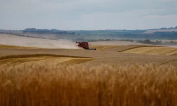 Paraná consolida safra de soja com 21,7 milhões de toneladas; veja balanço do Deral