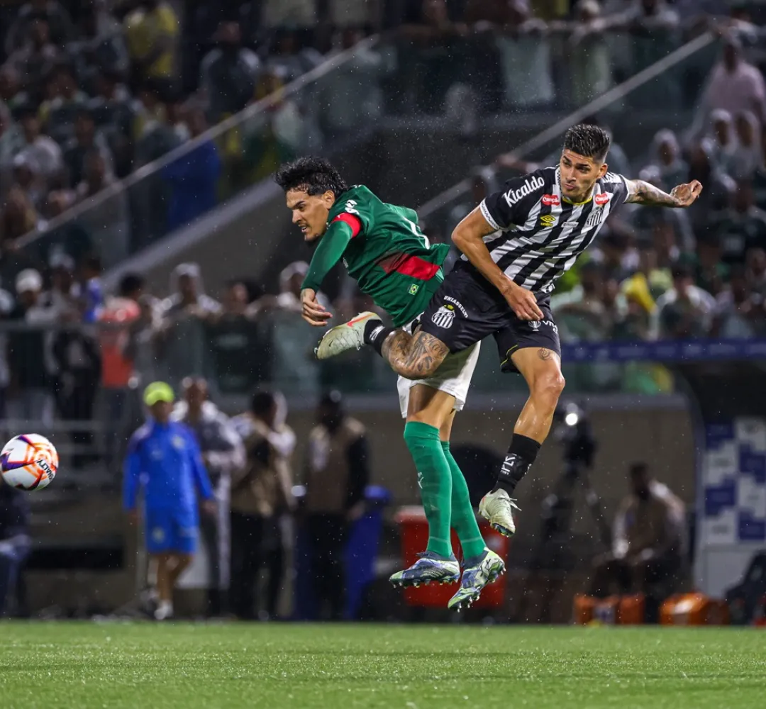 Verdão e Peixe jogam neste sábado