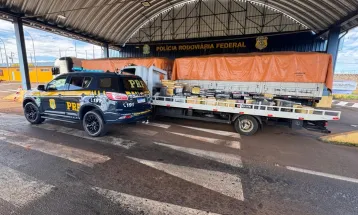 PRF apreende quase 4 toneladas de maconha e skunk em carreta de soja na BR-163