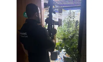 Polícia Civil fecha laboratório de maconha no bairro Portão e prende três homens em flagrante