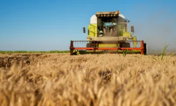 Seguro rural perde força no Paraná e acende alerta sobre endividamento no campo