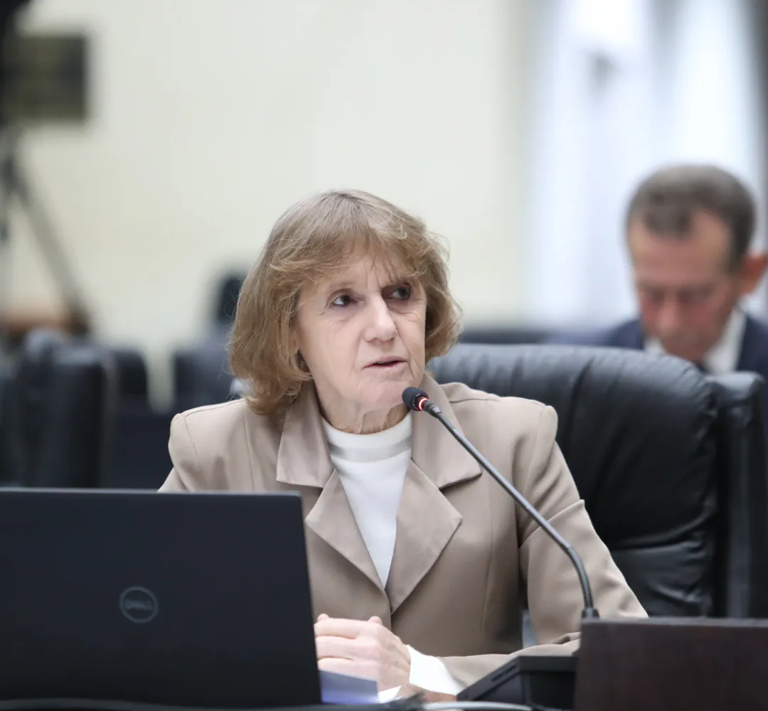 Deputada estadual Luciana Rafagnin