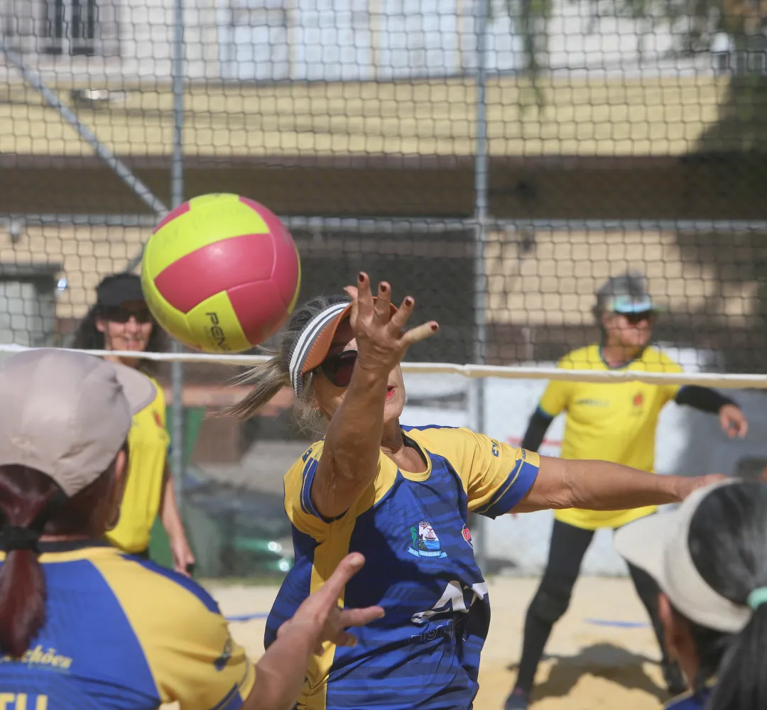 volei
