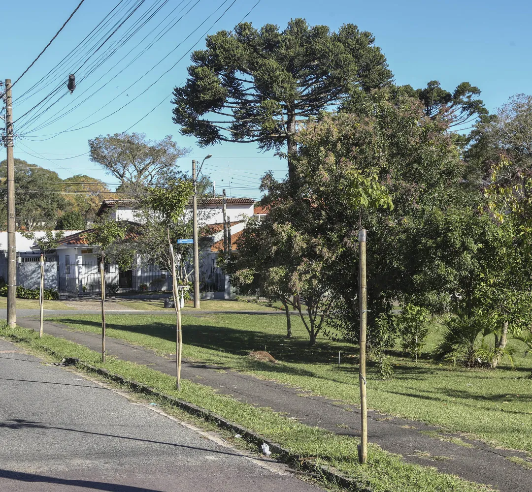 ypê