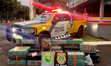 Polícia apreende quase 3 toneladas de maconha em Cascavel e cidades do Oeste