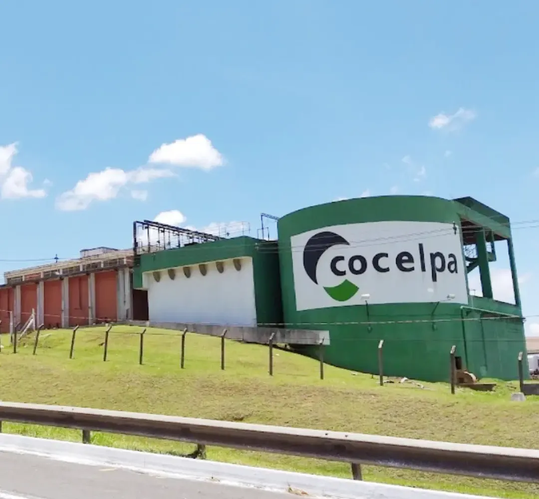 Cocelpa