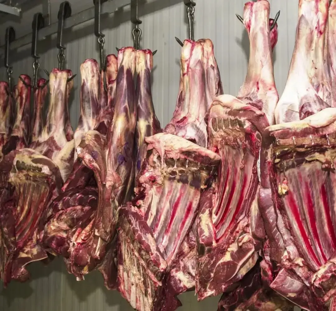 Carne