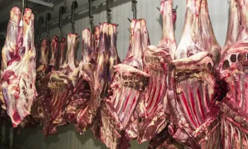 Falta de documentos do governo põe em risco exportação de carne para a UE