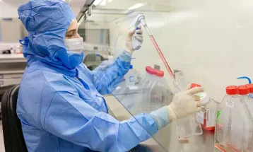 Estudo usa células-tronco contra complicações do transplante de medula