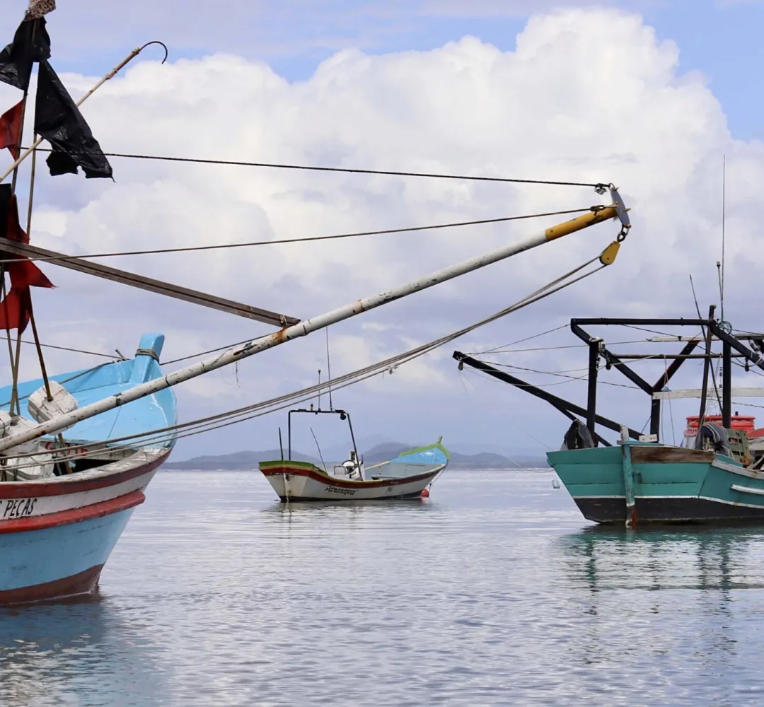 pesca
