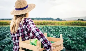 Projeto cria programa nacional para apoiar mulheres empreendedoras rurais