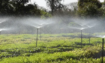 Vai plantar no inverno? IAT alerta para risco de perda de mudas nativas no Paraná