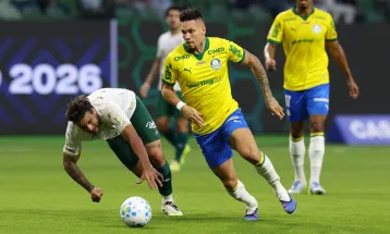 Palmeiras é campeão simbólico do primeiro turno do Campeonato Brasileiro