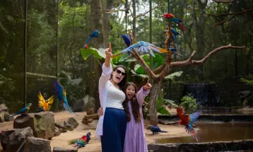 Parque das Aves mantém crescimento recorde de visitação em maio de 2026