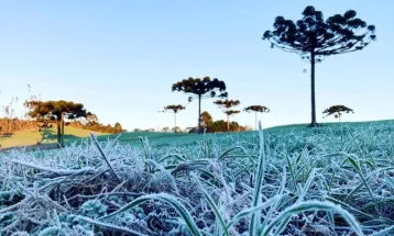 Nova onda de frio deve derrubar as temperaturas no Paraná nesta semana