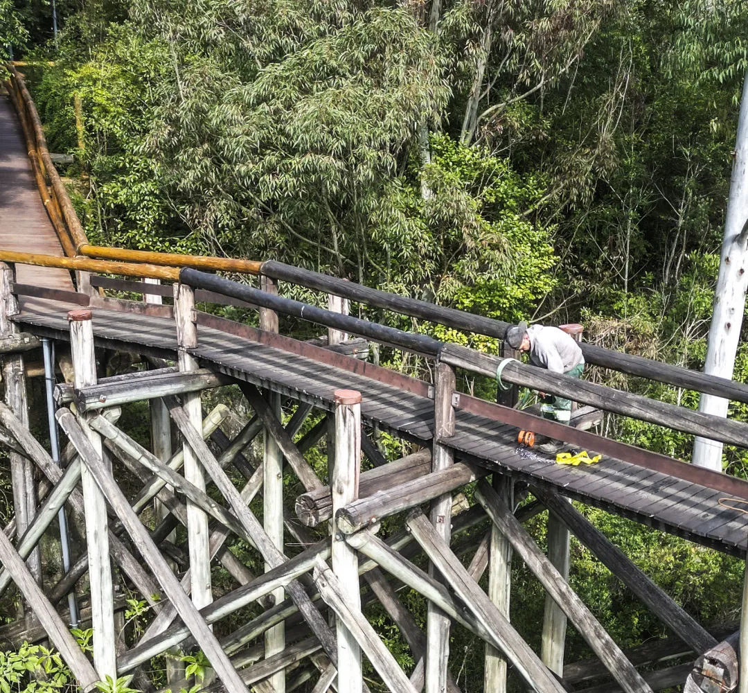parque tanguá
