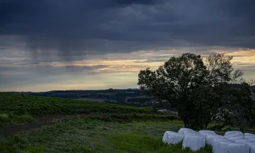 El Niño pode aumentar risco de doenças infecciosas e pressionar sistema de saúde, alerta especialista
