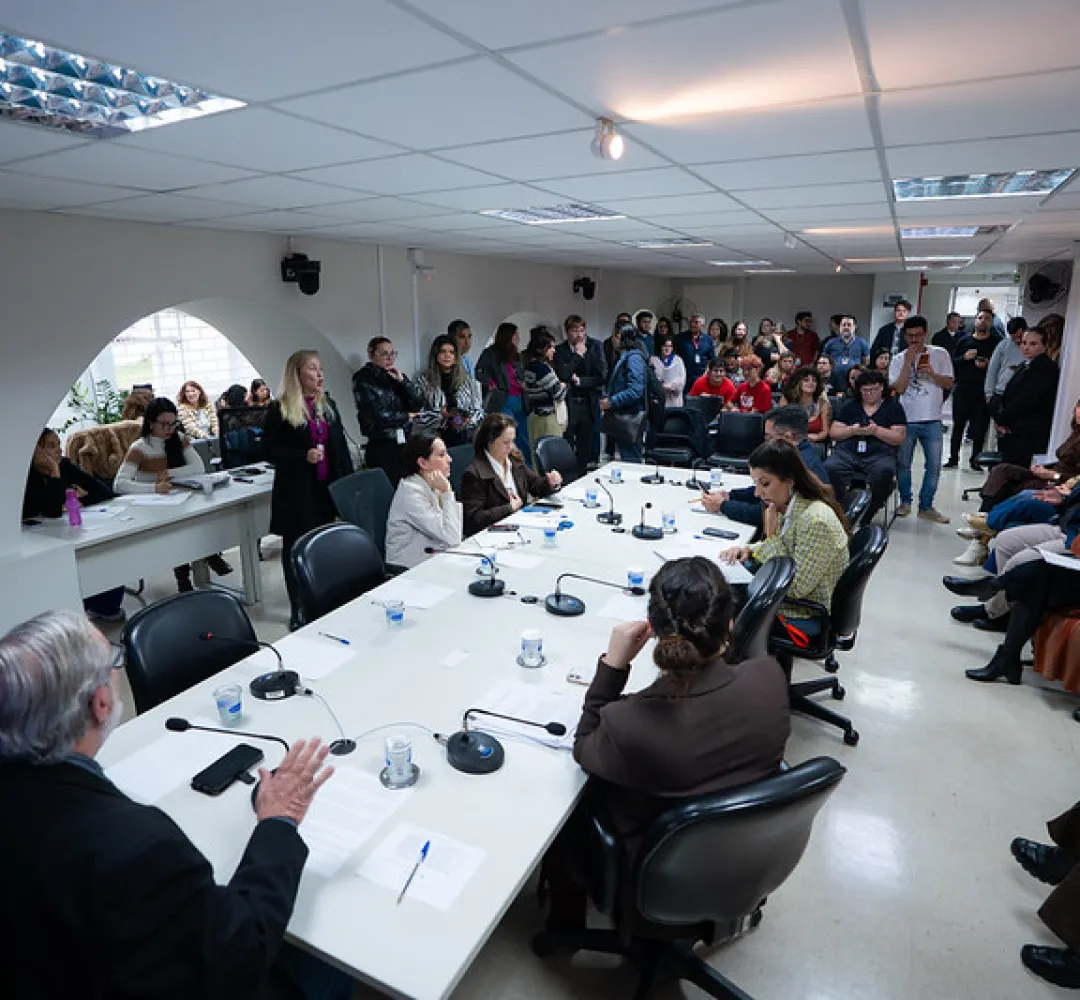 camara curitiba